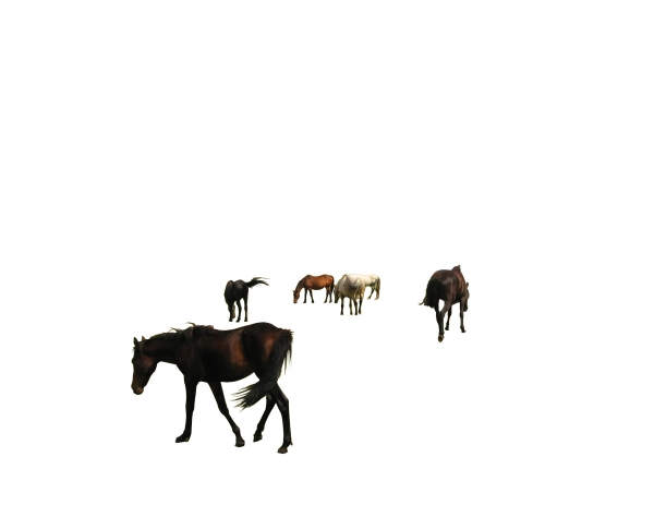 Creation of Spring Graze: Step 3